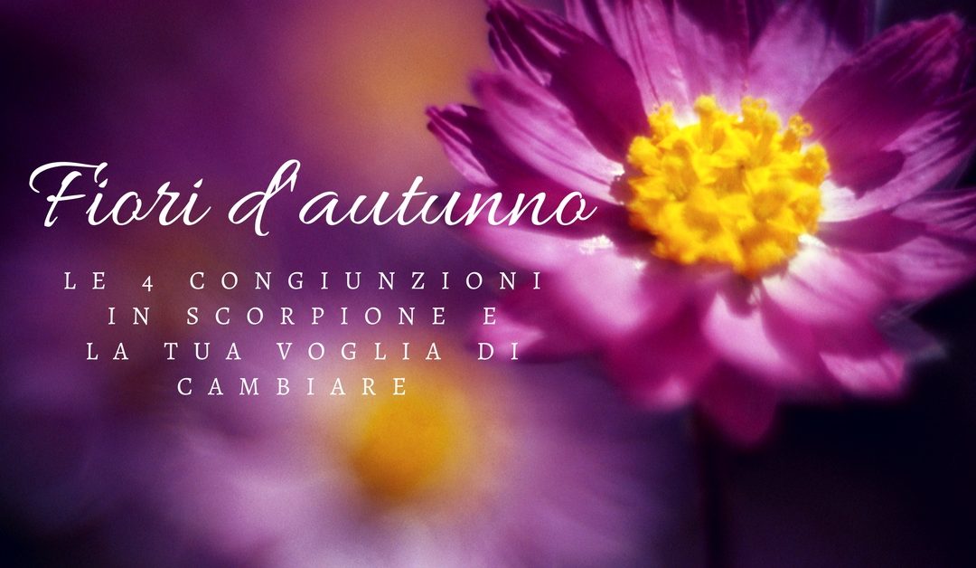 Fiori d’Autunno – le 4 congiunzioni in scorpione e la tua voglia di cambiare